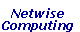 Netwise Computing
